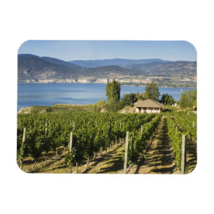 NA; Canada; British Columbia; Okanagan Valley; Magnet
