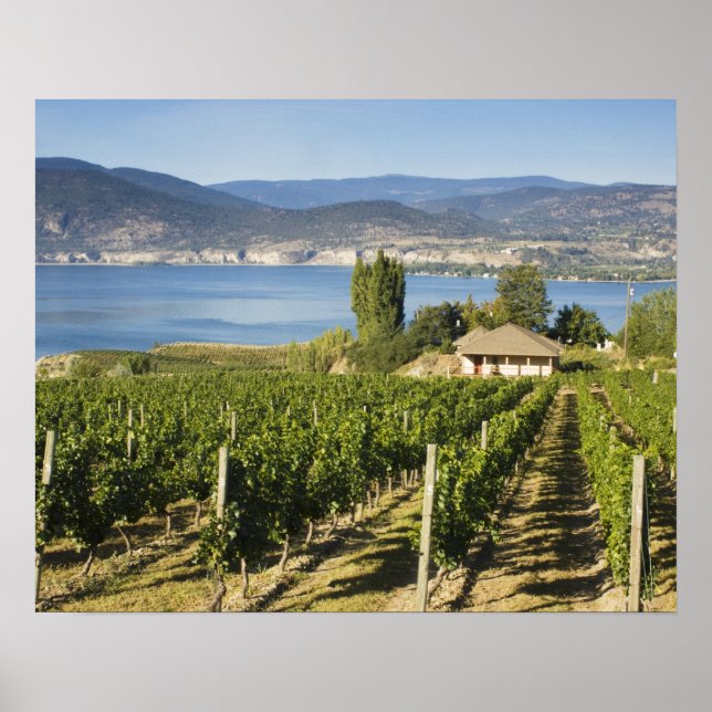NA; Canada; British Columbia; Okanagan Valley; Poster (Front)