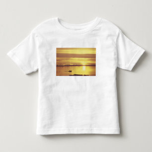 NA, Canada, Canadian Arctic, Baffin Island Toddler T-Shirt