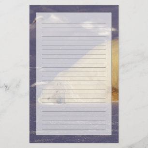 NA, Canada, Manitoba, Churchill, Polar bear Stationery