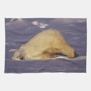 NA, Canada, Manitoba, Churchill, Polar bear Tea Towel