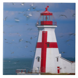 NA, Canada, New Brunswick, Campobello Island. 8 Ceramic Tile