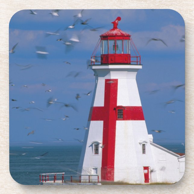 NA, Canada, New Brunswick, Campobello Island. 8 Coaster (Front)