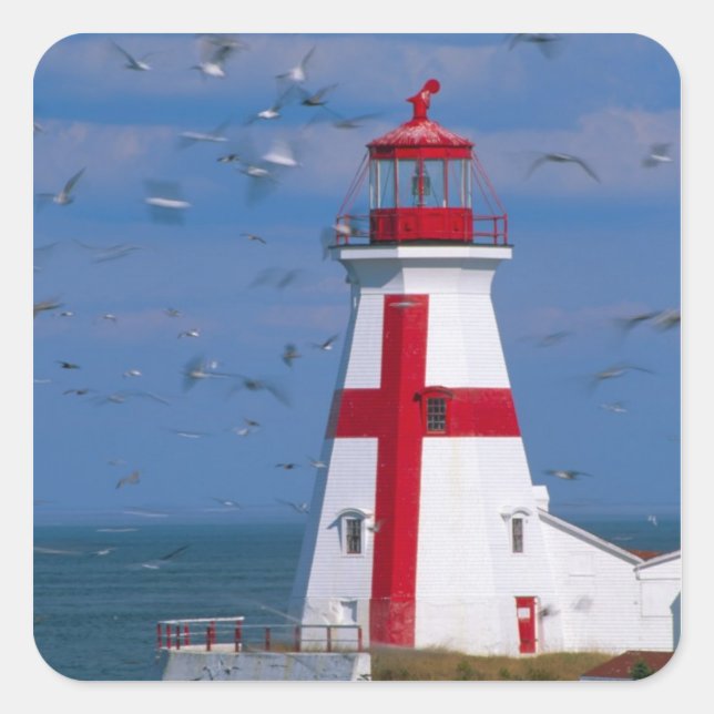 NA, Canada, New Brunswick, Campobello Island. 8 Square Sticker (Front)