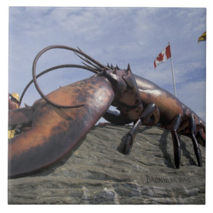 NA, Canada, New Brunswick, Shediak, World's Tile