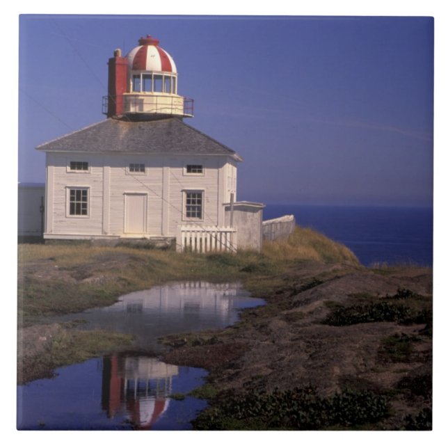 NA, Canada, Newfoundland, Cape Spear. Old Cape Tile (Front)