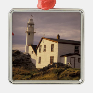 NA, Canada, Newfoundland, Lobster Cove. Lobster Metal Tree Decoration
