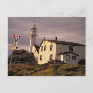NA, Canada, Newfoundland, Lobster Cove. Lobster Postcard