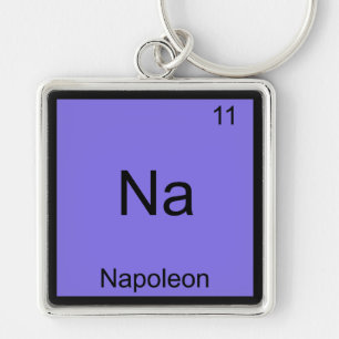 Na - Napoleon Funny Chemistry Element Symbol Tee Key Ring