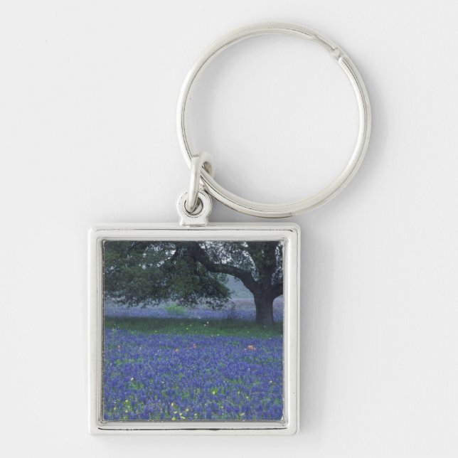 NA, Texas, Devine, Oak and blue bonnets Key Ring (Front)