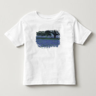 NA, Texas, Devine, Oak and blue bonnets Toddler T-Shirt
