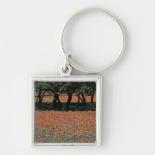 NA, Texas, Texas Hill Country, Buchan Dam, Key Ring