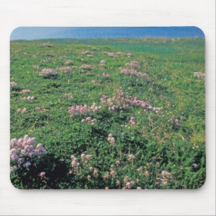 NA, USA, Alaska, Aleutian Island, Scenic with Mouse Pad