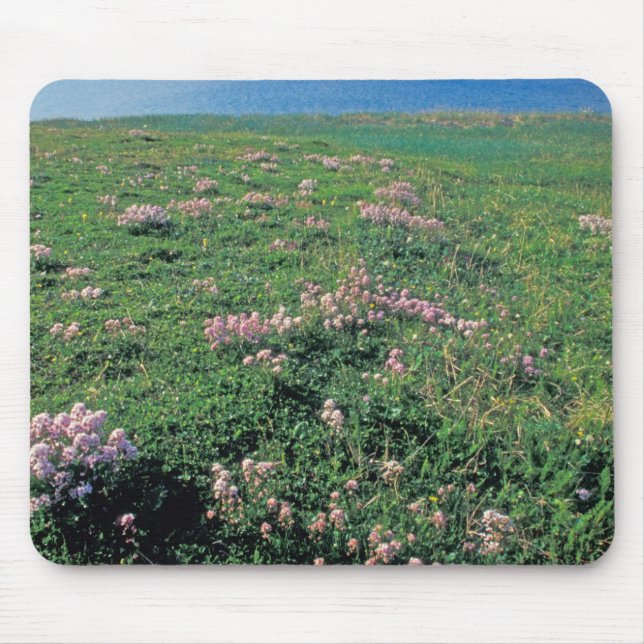 NA, USA, Alaska, Aleutian Island, Scenic with Mouse Pad (Front)