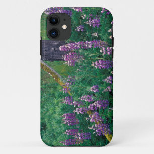 NA, USA, Alaska, Aleutian Islands, Unalaska, iPhone 11 Case