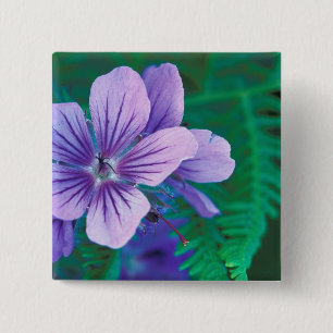 NA, USA, Alaska, Aleutian Islands, Wild 15 Cm Square Badge