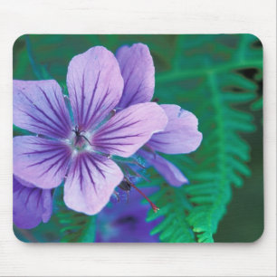 NA, USA, Alaska, Aleutian Islands, Wild Mouse Pad