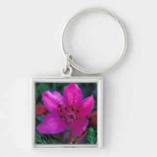 NA, USA, Alaska, Aleutian Islands, Wildflowers Key Ring