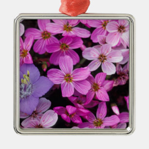 NA, USA, Alaska, Aleutian Islands, Wildflowers Metal Ornament