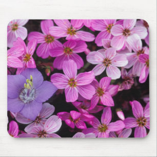 NA, USA, Alaska, Aleutian Islands, Wildflowers Mouse Pad