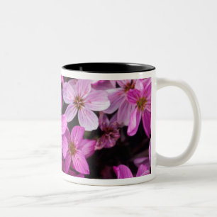 NA, USA, Alaska, Aleutian Islands, Wildflowers Two-Tone Coffee Mug