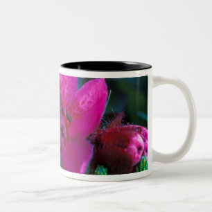 NA, USA, Alaska, Aleutian Islands, Wildflowers Two-Tone Coffee Mug