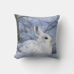 NA, USA, Alaska. Arctic National Wildlife Cushion