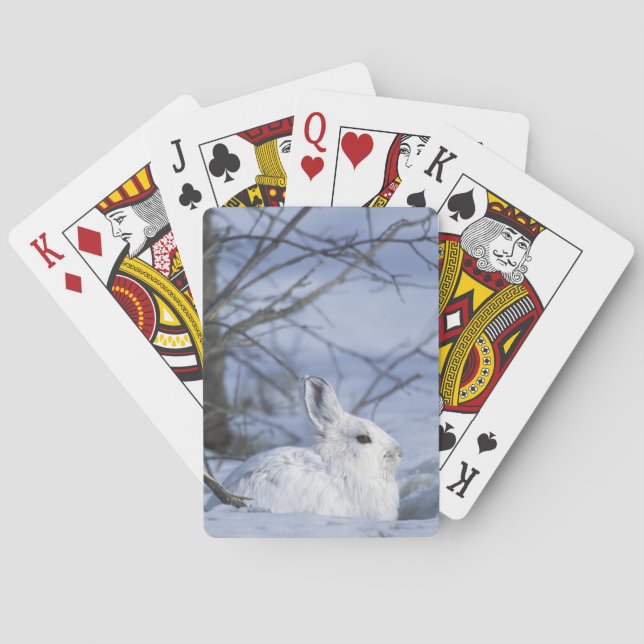 NA, USA, Alaska. Arctic National Wildlife Playing Cards (Back)