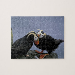 NA, USA, Alaska, Bering Sea, Pribilofs. Tufted Jigsaw Puzzle