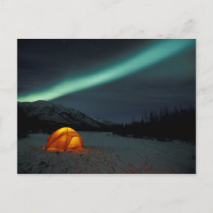 NA, USA, Alaska, Brooks Range. Curtains of green Postcard