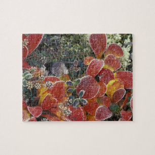 NA, USA, Alaska. Denali National Park. Bearberry 2 Jigsaw Puzzle