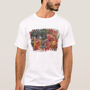 NA, USA, Alaska. Denali National Park. Bearberry 2 T-Shirt