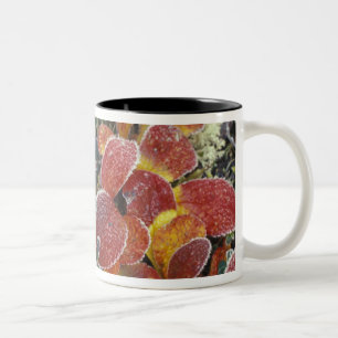 NA, USA, Alaska. Denali National Park. Bearberry 2 Two-Tone Coffee Mug