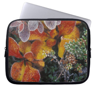 NA, USA, Alaska. Denali National Park. Bearberry 3 Laptop Sleeve
