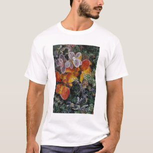NA, USA, Alaska. Denali National Park. Bearberry 3 T-Shirt