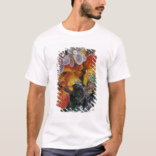 NA, USA, Alaska. Denali National Park. Bearberry 3 T-Shirt