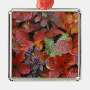NA, USA, Alaska. Denali National Park. Bearberry Metal Ornament