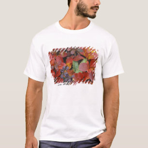 NA, USA, Alaska. Denali National Park. Bearberry T-Shirt