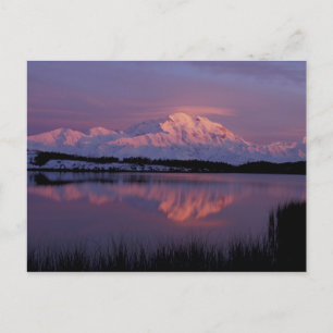 NA, USA, Alaska. Denali National Park. Mt Postcard