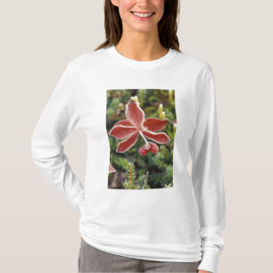 NA, USA, Alaska. Denali National Park, Wonder T-Shirt