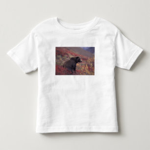 NA, USA, Alaska, Denali NP. A female grizzly Toddler T-Shirt
