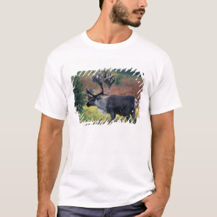 NA, USA, Alaska, Denali NP, Bull caribou 3 T-Shirt