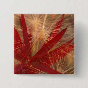 NA, USA, Alaska, Denali NP, Fireweed and wild 15 Cm Square Badge