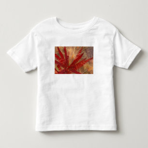 NA, USA, Alaska, Denali NP, Fireweed and wild Toddler T-Shirt