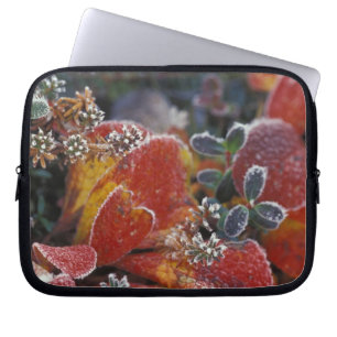 NA, USA, Alaska, Denali NP Frosted, fall-coloured Laptop Sleeve