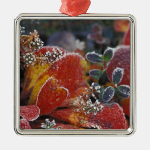 NA, USA, Alaska, Denali NP Frosted, fall-coloured Metal Tree Decoration