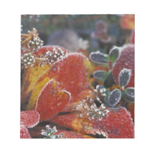 NA, USA, Alaska, Denali NP Frosted, fall-coloured Notepad