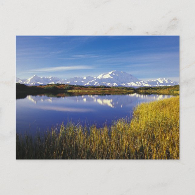 NA, USA, Alaska, Denali NP Mt. McKinley in Postcard (Front)