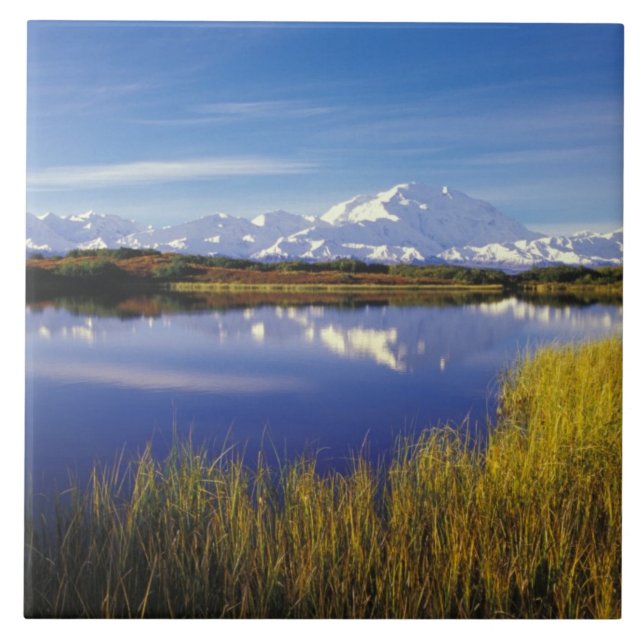 NA, USA, Alaska, Denali NP Mt. McKinley in Tile (Front)