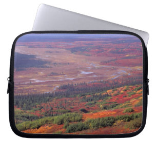 NA, USA, Alaska, Denali NP, View of McKinley Laptop Sleeve
